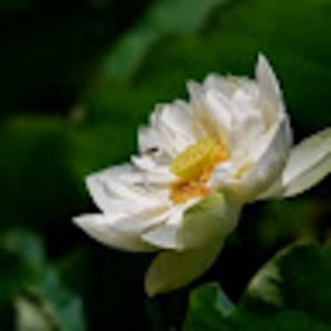 Meet your Posher, Jack